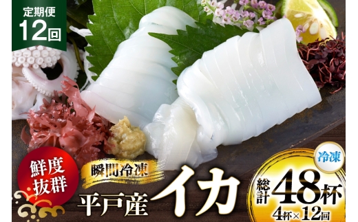 海鮮 魚介 イカ 4杯 1パック（冷凍） 12回 定期便 [舘浦漁業 長崎県 平戸市 hr42bgy420351] おつまみ 新鮮 刺身 瞬間冷凍 冷凍 コリコリ 直送 冷凍 個包装 真空パック