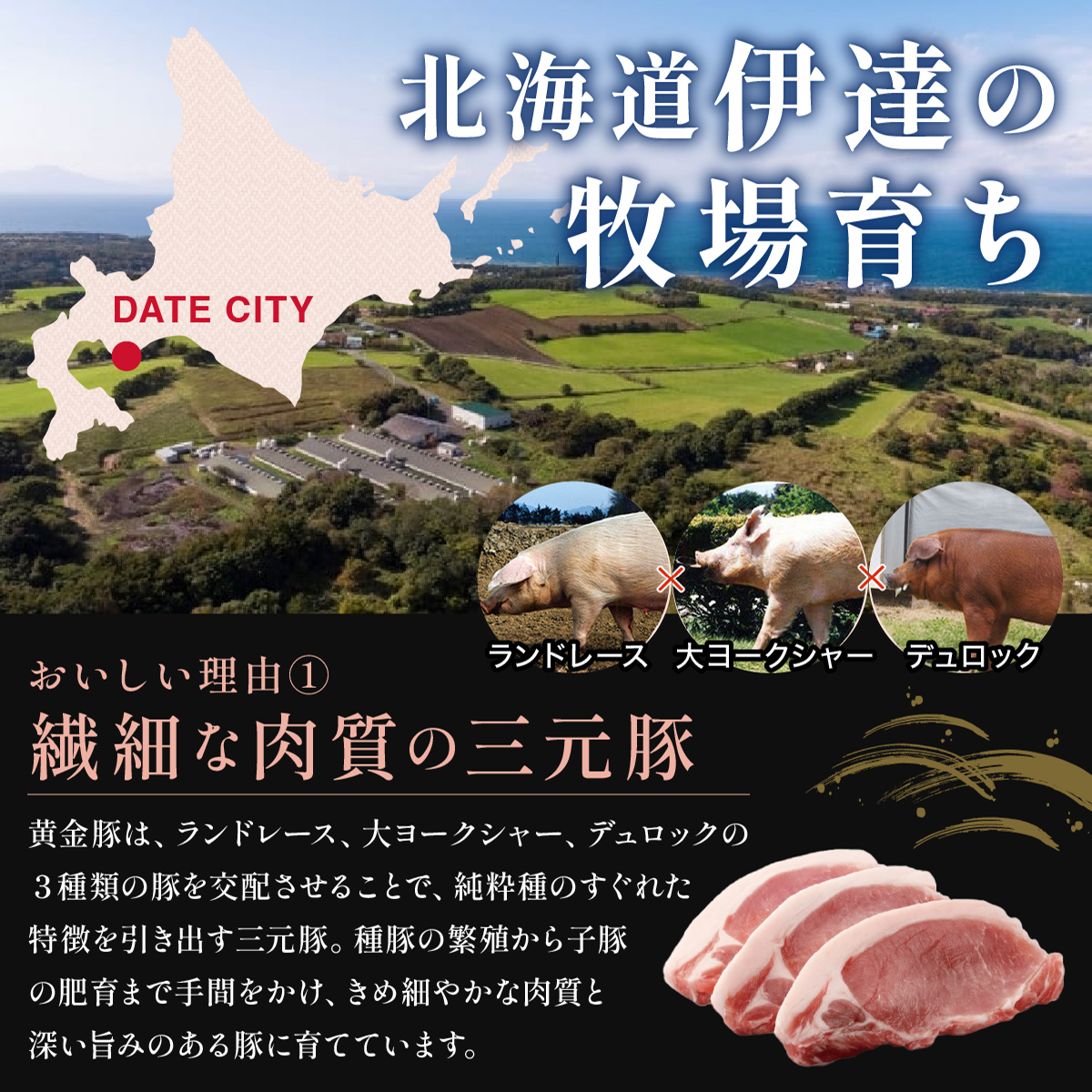 北海道 伊達 黄金豚 ハンバーグ 100g×10個（計1kg） 小分け 真空 お肉 豚肉_イメージ4