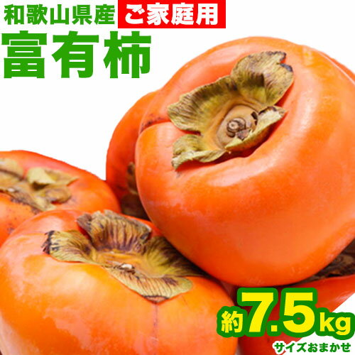 【ふるさと納税】〈ご家庭用〉和歌山産富有柿 約7.5kg 厳選館《2025年11月上旬-12月下旬頃出荷》柿 カキ フルーツ ジューシー 青果 果物