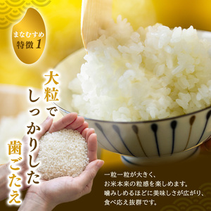 まなむすめ 定期便3回/5kg×1袋 令和8年産 新米先行予約 宮城県産 米 精米 白米 米 コメ お米 おこめ ブランド米 ご飯 ごはん