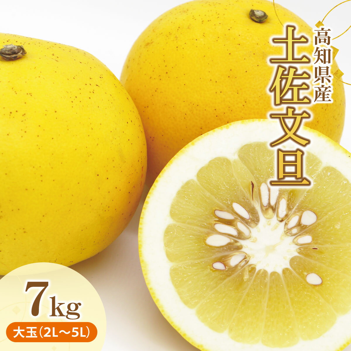 【ふるさと納税】土佐文旦（ぶんたん）（大玉：2L～5L混合）約7kg【株式会社とさもん（土佐市）】 約10～15玉 文旦 ぶんたん ブンタン 柑橘 果物 フルーツ お取り寄せ おいしい 美味しい 故郷納税 ふるさとのうぜい 返礼品 高知県産 高知 14000円