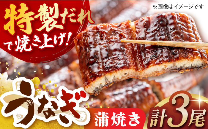 
            うなぎ蒲焼き(170g×3尾) 長崎県/ダイニング味遊 [42ACAG034]
          