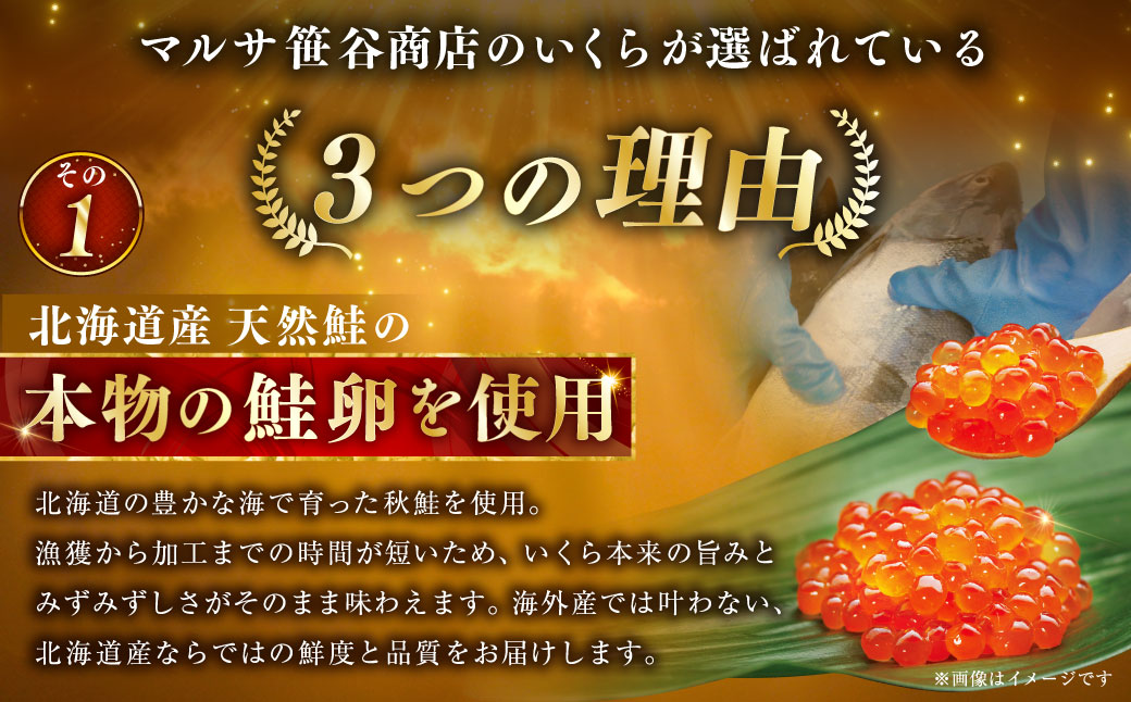 笹谷商店 北海道産いくらしょう油漬500g（250g×2パック入り） ふるさと納税 いくら