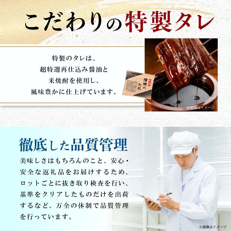 うなぎ 蒲焼 うなぎ[国産 2尾 280g]