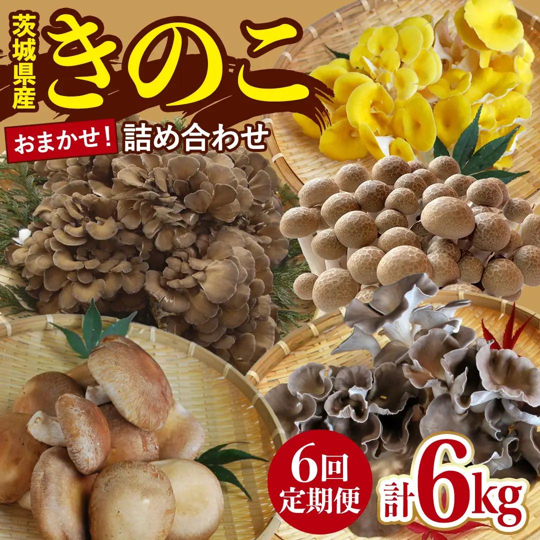 【 6ヶ月 隔月定期便 】 きのこ の 詰め合わせ Sサイズ 約1kg (AU010)