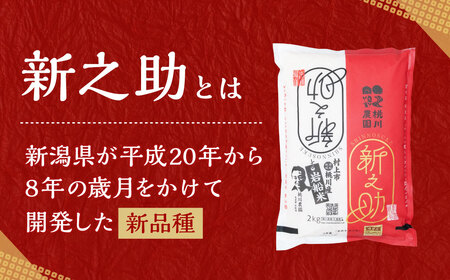 【新米受付・令和8年産米】 新潟県村上市産 特別栽培米新之助12kg NB4073