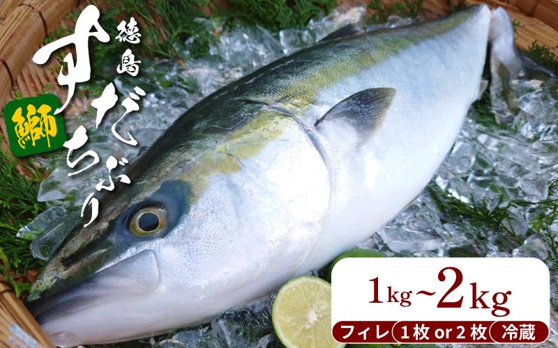 
                  ぶり フィレ すだちぶり 半身 選べる 1枚/2枚 1kg 2kg 冷蔵 徳島 養殖 ブランド鰤  鰤 ブリ お正月 buri 豪華 海鮮 魚 ふるさと納税
                