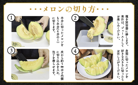 メロン定期便 4回 赤肉・青肉 交互にお届け マスクメロン Wtn-0048