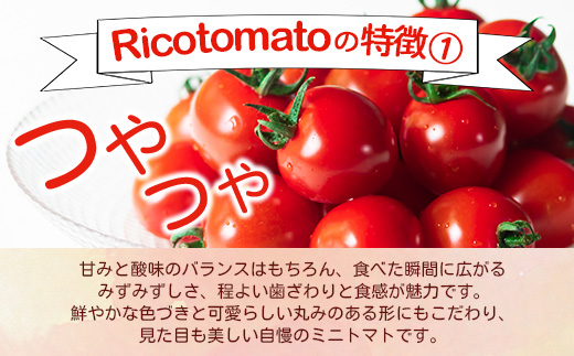 【2025年12月中旬から出荷】たにぐちファーム 完熟ミニトマト 約1kg 『Ricotomato とりこになるトマト』 B-324