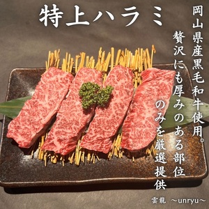 定期便 3ヶ月 厳選 特上 ハラミ (横隔膜) 各回合計約900g【雲龍焼肉たれ付】 雲龍  岡山県産 肉 お肉 牛肉 和牛 焼肉