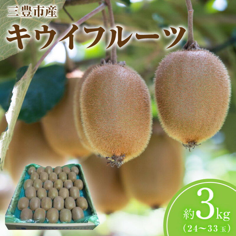 【ふるさと納税】キウイ キウイフルーツ 3kg (約24～33玉)糖度は15～18度以上 [ グリーンキウイ 国産 果物 三豊市 産地直送 予約販売 数量限定 贈答用 自宅用 ヘイワード ギフト 送料無料 三豊産 産直 五色青果 ]