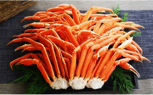 1109. ボイルズワイガニ足 5kg 約10-12人前 食べ方ガイド・専用ハサミ付 カニ かに 蟹