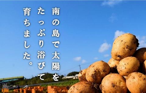 《2025年春お届け！》～これからは産地で選びたくなる～徳之島産新じゃがいも（10kg） ( バレイショ 野菜 旬 春 徳之島 奄美 鹿児島 肉じゃが カレー じゃがバター 美味しい オススメ )