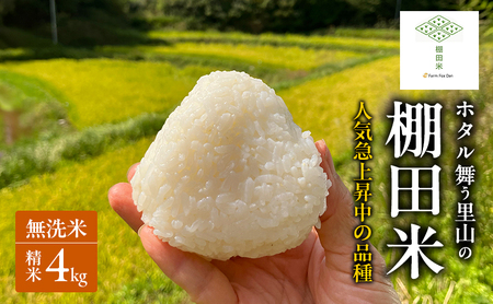 にじのきらめき 棚田米 無洗米 岡山県産 にじのきらめき 【2kg×2袋4kg】【先行受付 令和8年産】