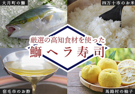 旨味とろける鰤のお寿司と珍しい鰤のユッケ2箱 「100年フード」認定