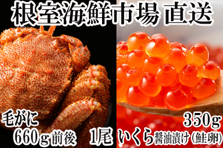 ボイル毛ガニ660g前後×1尾、いくら醤油漬け(鮭卵)70g×5P B-11027