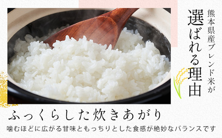 【12ヶ月定期便】熊本県産 無洗米 ブレンド米 肥後のめぐみ米 10kg 熊本県産 ふるさと納税 精米 米 こめ ふるさとのうぜい コメ お米 おこめ《お申込み翌月から出荷》