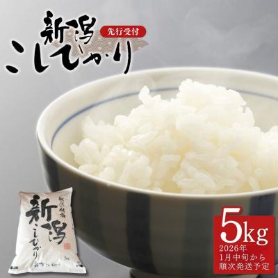 ふるさと納税 三条市 先行受付 コシヒカリ 5kg 新潟県産 [1月中旬から順次発送予定] 令和7年産【014S147】