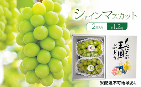 シャインマスカットぶどう 岡山県産 シャインマスカット【約1.2kg2房】【先行予約】