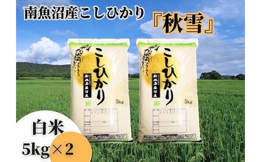 
            【令和7年産 新米予約 全３回定期便】南魚沼産コシヒカリ「秋雪」白米10kg（5kg×2袋）×3回 新潟県の特A地区南魚沼市の美味しいお米【2025年（令和7年）10月上旬より順次発送予定】【米 お米 こしひかり 南魚沼 米 白米 こめ 新潟 米】
          