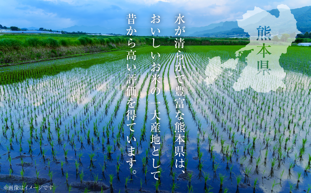 【先行予約】 【令和7年産】 ≪新米≫ 熊本県産 くまさんの輝き10kg （5kg×2袋） オリジナルパッケージ 新米 米 お米 精米 くまさんの輝き 熊本 ブランド米 【2025年11月上旬より順次発送】