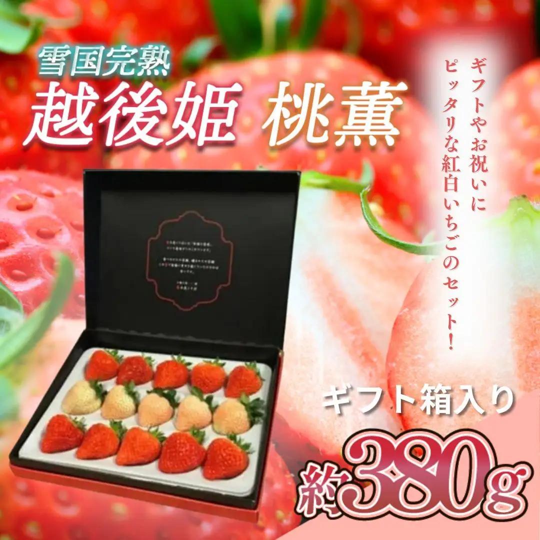 【先行予約】越後姫桃薫 いちご 越後姫 シングル約380g 苺の花ことば