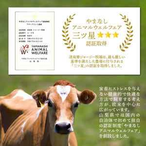 清泉寮ジャージーゴーダチーズ　100g×2個 チーズ ゴーダチーズ 100g×2個 清里 清泉寮牧場 有機ジャージー 有機JAS認証取得 ジャージー牛乳 低温殺菌処理 清里 山梨県 北杜市産 [h04