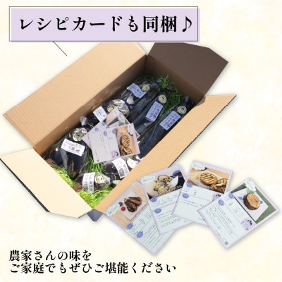 なす3~4種類おまかせ10本!(水なす・フルーツなす・千両なす・ふわとろ長なす)