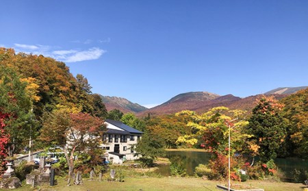 FYN9-758 山形県 西川町 月山 志津温泉 清水屋旅館 ご利用券 5000円