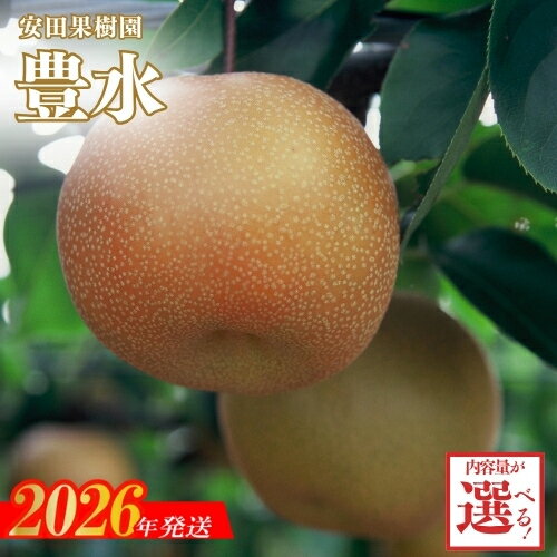 【ふるさと納税】No.1799梨　豊水　約5kg【2026年発送 先行予約】