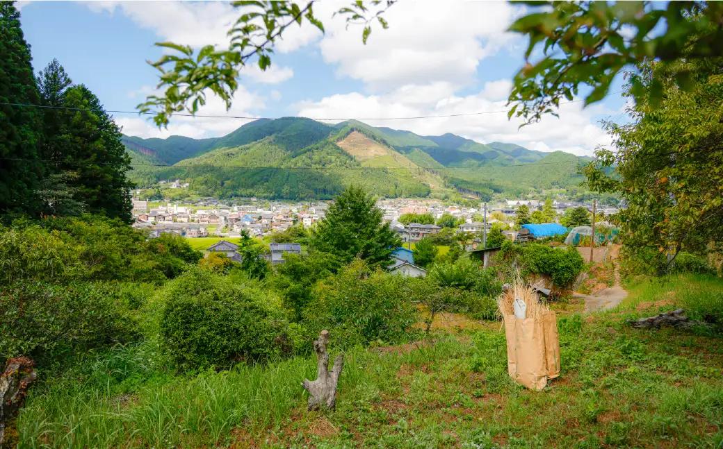 世界にひとつ ツルかごとブーケ 里山の草木から生まれた｜一点もの 自然素材 インテリア 天然素材 ハンドメイド