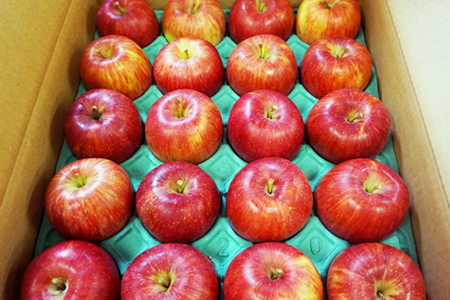 【2025年10月～11月発送分先行受付】山形のりんご（シナノスイート）約5kg_H076(R7)