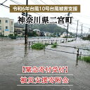 【ふるさと納税】【令和6年台風10号被害支援緊急寄附受付】神奈川県二宮町災害応援寄附金（返礼品はありません）