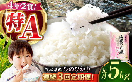 令和7年度3回定期便 山鹿のお米ヒノヒカリ5kg令和7年産ZBI020