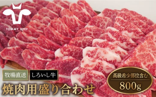 【牧場直送】佐賀県産 しろいし牛 焼肉用 盛り合わせ セット（高級希少部位含む）800g【有限会社佐賀セントラル牧場】 [IAH003]