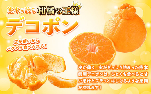 露地デコポン 約1.8kg(3-5玉前後) 《2027年2月上旬-2月末頃出荷》 柑橘 不知火 デコポン みかん フルーツ 果物 旬 ご家庭用 訳あり みかん 好き必見