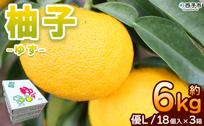 
            ＜柚子 優 Lサイズ 54個（18個入り×3箱）＞ 約6kg 6000g ゆず 国産 果物 フルーツ 低樹高栽培 おいしい JAひがしうわ 東宇和農業協同組合 愛媛県 西予市【常温】『2025年10月下旬～12月上旬迄に順次出荷予定』
          