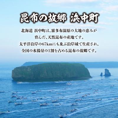 ふるさと納税 浜中町 プロが選ぶ『特選昆布80g×6個』_H0008-101 |  | 01