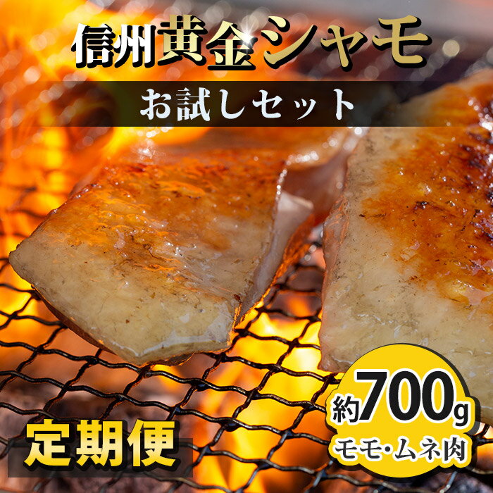 【ふるさと納税】【定期便】 信州黄金シャモお試しセット｜とや原ファーム　軍鶏　長野県オリジナル地鶏　長野県　名古屋コーチン　地鶏・銘柄鶏食味コンテスト　チャンピオン　長野県認定　シャモ　鶏肉　モモ肉　ムネ肉