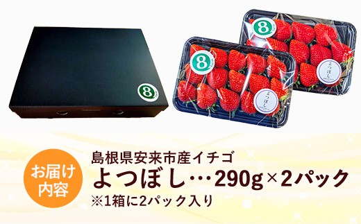 【先行予約】 よつぼし 2パック 【 選べる品種 約290g×2パック 四つ星 イチゴ いちご 苺 ストロベリー 冷蔵 安来市産】【10-FA-12】
