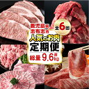 【ふるさと納税】【定期便・全6回】お肉のお楽しみ定期便 総量9.6kg超! 牛肉 豚肉 鹿児島県産 九州産 国産 黒毛和牛 ステーキ すきやき しゃぶしゃぶ とんかつ BBQ【サンキョーミート・羽根・そお鹿児島・ナンチク】t0121-001