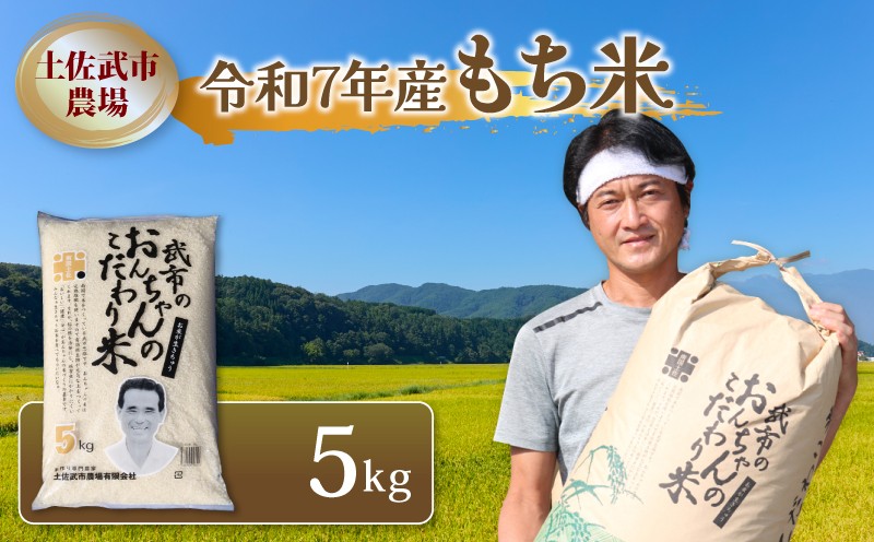 
            もち米 5キロ 5㎏ 数量限定 餅米 もちごめ 白米 令和7年度 農家直送 産地直送 高知県 南国市
          