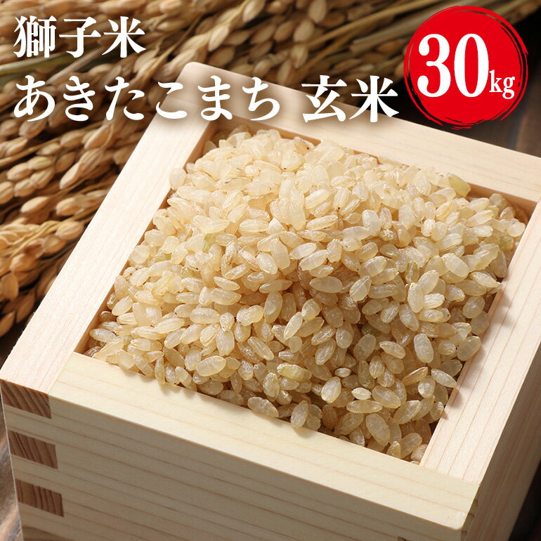 【ふるさと納税】 【令和7年産】獅子米 あきたこまち 玄米30kg お米 米 玄米 おこめ ブランド米 30キロ 国産 コメ こめ ご飯 銘柄米 茨城県産 茨城 産直 産地直送 農家直送 ごはん 家庭用 贈答用 お取り寄せ 茨城県 石岡市 B02-057
