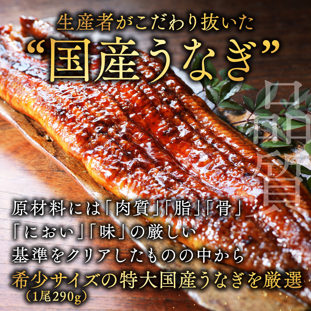 国産 希少 超極大 特上うなぎ(290g×5尾)