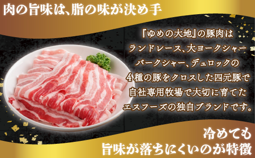【平取町産四元豚】ゆめの大地豚バラスライス　200g×15パック計３ｋｇ BRTD002