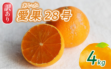 【2025年12月頃から発送】訳あり 愛果28号 ( 紅まどんな と同品種) 家庭用 4kg | 紅まどんな と同品種 まどんな 数量選択可 あいか みかん 数量限定 みかん 愛媛県産 みかん 愛果28号 松山市 みかん 中島 みかん 愛果28号 みかん 蜜柑 愛果28号 ミカン みかん 旬 愛果28号 【NO0581】