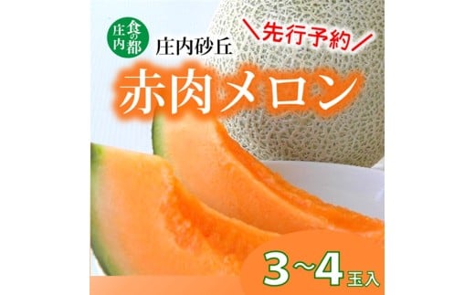 【2026年産 先行予約】食の都庄内　プロの技！庄内砂丘　赤肉メロン　※2026年7月上旬頃より発送開始予定