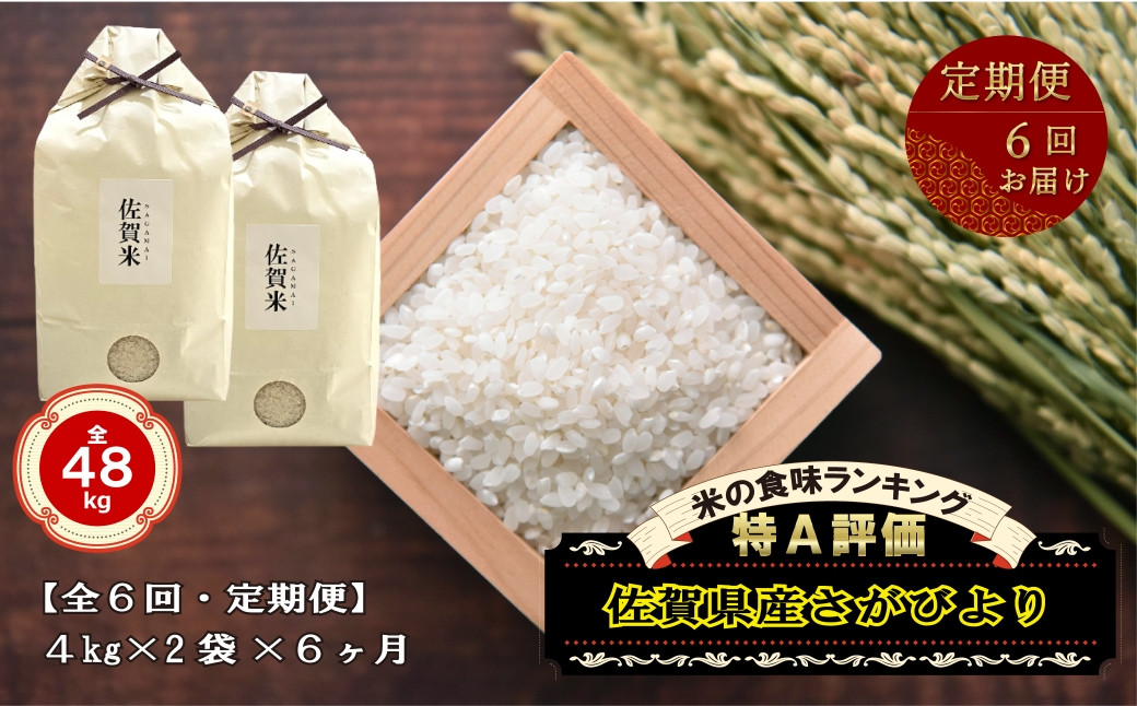 
            【定期便】6回お届け 米／佐賀県産 さがびより 8kg×6回(4kg×2袋×6回)合計48kg
          