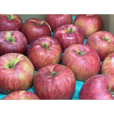 【ふるさと納税】サンふじ 家庭用 9kg(赤秀13～14度の糖度保障)【1615473】