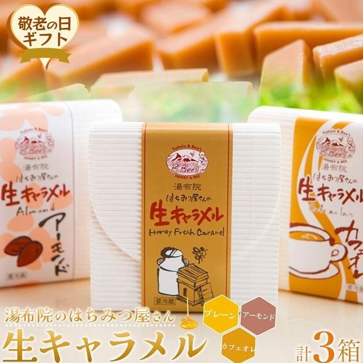 【ふるさと納税】【敬老の日】【湯布院のはちみつ屋さん】国産蜂蜜を使用した3種の生キャラメル （プレーン・カフェオレ・アーモンド）各12粒入り 計3箱 | 蜂蜜専門店 ハチミツ 洋菓子 キャラメル 食べ比べ 返礼品 お取り寄せグルメ 人気 取り寄せ 湯布院 由布院 ゆふいん